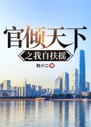 官倾天下之我自扶摇林一阳小说阅读