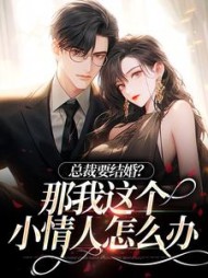 总裁要结婚?那我这个小情人怎么办小说阅读
