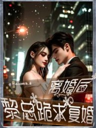 离婚后，黎总跪求复婚小说阅读