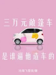 三万元敞篷车，是谁逼他造车的？小说阅读