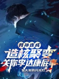 我造核聚变,关你李达康屁事?阅读小说阅读