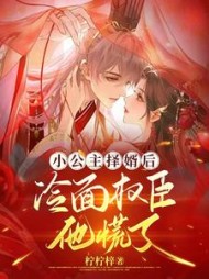 小公主择婿后，冷面权臣他慌了阅读小说阅读