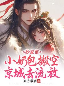抄家前,小奶包搬空京城去流放小说阅读