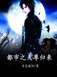 都市之天尊归来王宁小说阅读