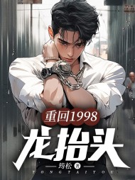 重回1998:龙抬头周晓峰阅读小说阅读