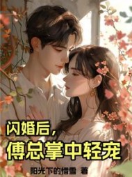 闪婚后，傅总掌中轻宠小说阅读