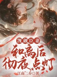 觊觎臣妻，和离后彻夜点灯小说阅读