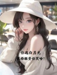 你选白月光，离婚撤资你哭啥？阅读小说阅读