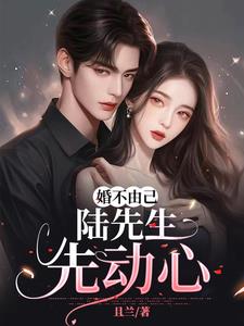 婚不由己陆先生先动心阅读小说阅读