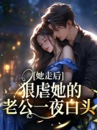 她走后，狠虐她的老公一夜白头小说阅读
