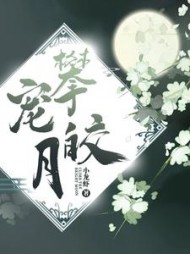 攀宠皎月阅读小说阅读