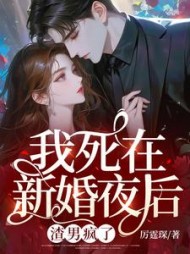 我死在新婚夜后，渣男疯了小说阅读