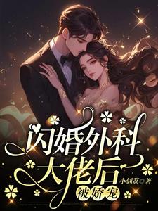 闪婚外科大佬后被娇宠林娴陈一泽小说阅读