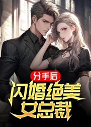分手后,闪婚绝美女总裁小说阅读