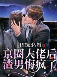 甜宠:闪婚京圈大佬后,渣男悔疯了阅读小说阅读