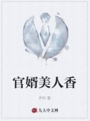 官婿美人香刘志中阅读小说阅读