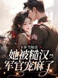 江念宋晏白小说阅读