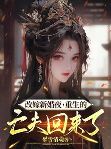 改嫁新婚夜，重生的亡夫回来了阅读小说阅读