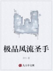 极品风流圣手叶小龙阅读小说阅读