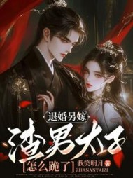 宠妾灭妻?转嫁后我带皇子夺王位小说阅读
