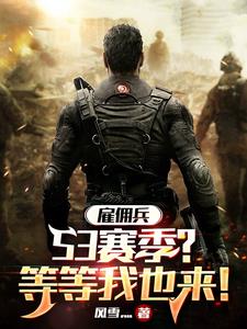 雇佣兵：S3赛季？等等我也来小说阅读