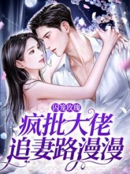 囚笼玫瑰疯批大佬追妻路漫漫沈洛兮小说阅读