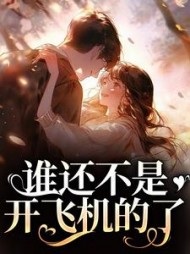 谁还不是开飞机的了丁梨小说阅读