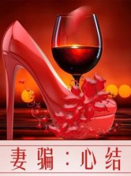 妻骗：心结全部小说阅读