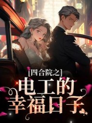 四合院之电工的幸福日子张建国小说阅读