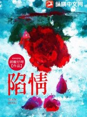 陷情周时安林央阅读小说阅读