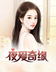夜爱奇缘周晴何亮阅读小说阅读