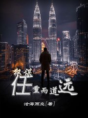 权谋任重而道远阅读小说阅读
