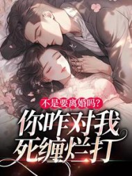 林初禾陆衍川小说阅读