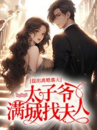 提出离婚那天,太子爷满城找夫人小说阅读