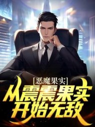 恶魔果实从震震果实开始无敌叶凡小说阅读