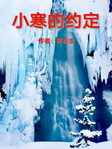 小寒的约定+后续小说阅读