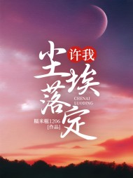 许我尘埃落定阅读小说阅读