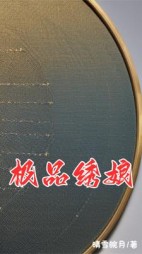 极品绣娘后续+番外小说阅读