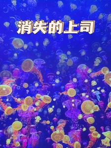 消失的上司+后续小说阅读