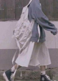 不要招惹偏执龙君