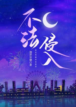 不法侵入小说阅读