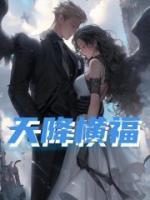 天降横福小说阅读