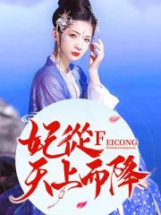 妃从天上而降小说阅读
