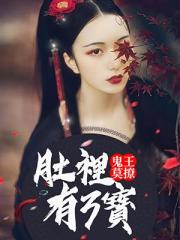 鬼王莫撩：肚里有3宝小说阅读