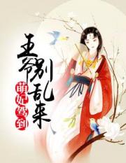 萌妃驾到：王爷别乱来小说阅读