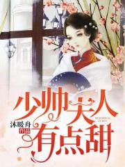 少帅夫人有点甜小说阅读