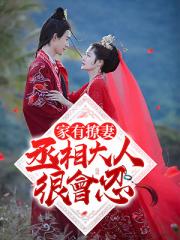 家有撩妻：丞相大人很会忍③小说阅读