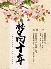 梦回十年小说阅读