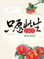 只愿来生不识君小说阅读