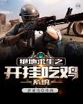 绝地求生之开挂吃鸡系统小说阅读